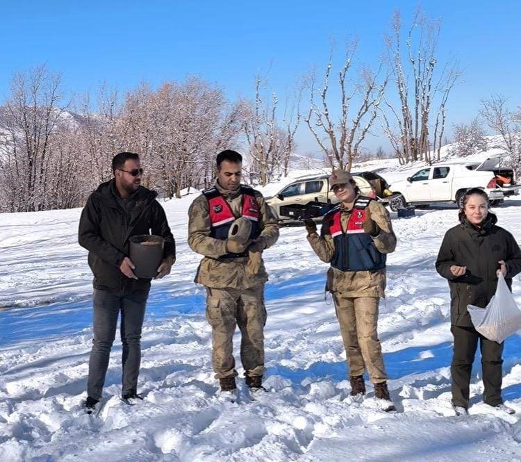 Bitlis’te yiyecek bulamayan yaban hayvanlarına yem bırakıldı