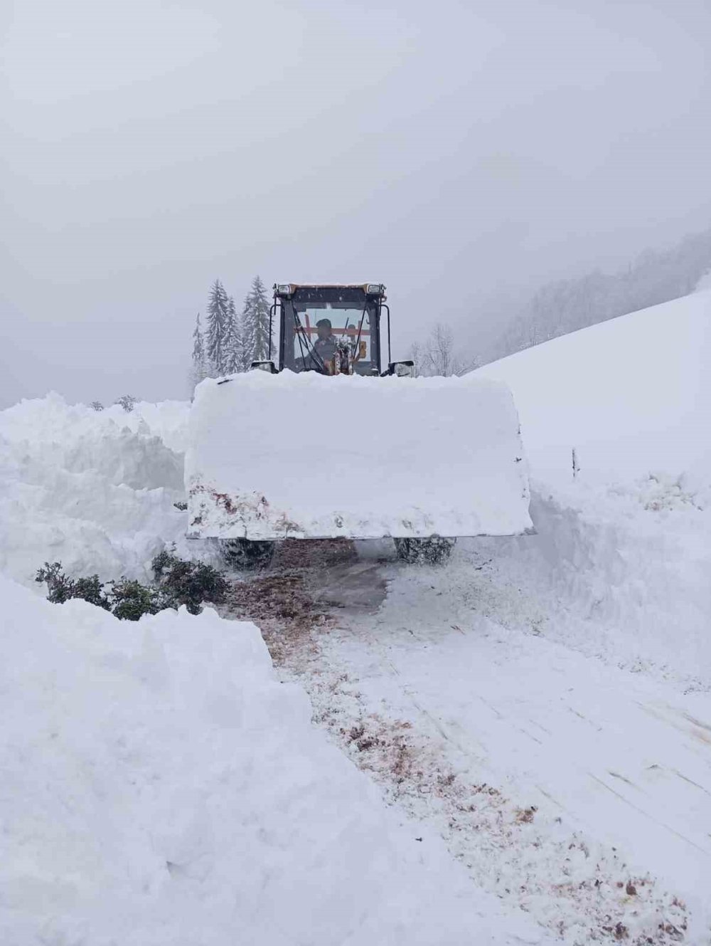 Rize’de 38 köy yolunun ulaşımına 'kar' engeli