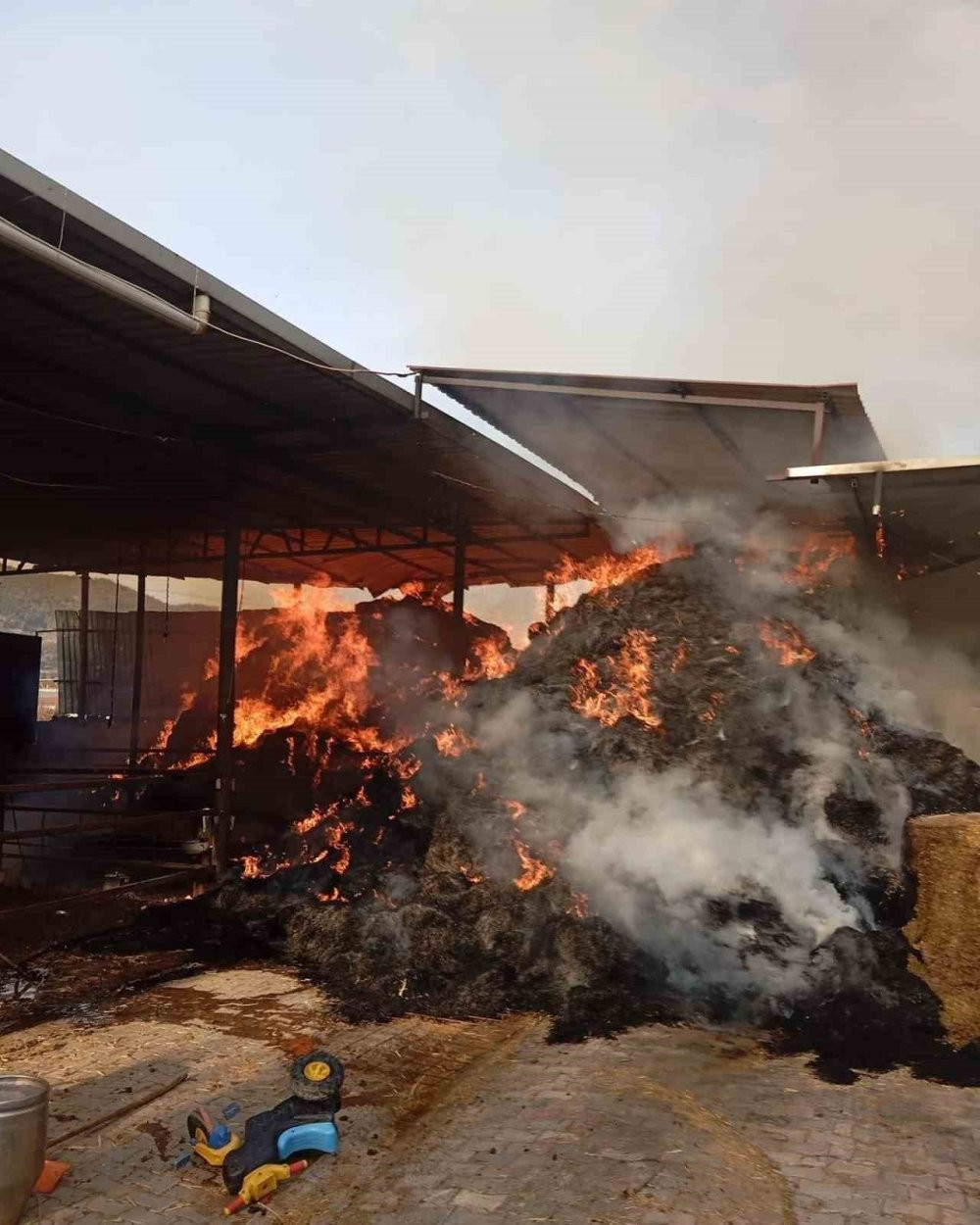 Hatay'da samanlık alev alev yandı