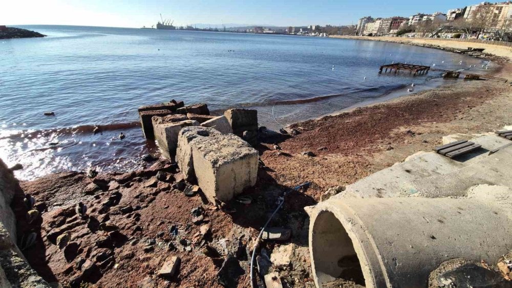 Marmara Denizi’nde 'kızıl yosun' alarmı