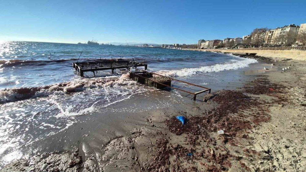 Marmara Denizi’nde kızıl yosun akıntısı devam ediyor