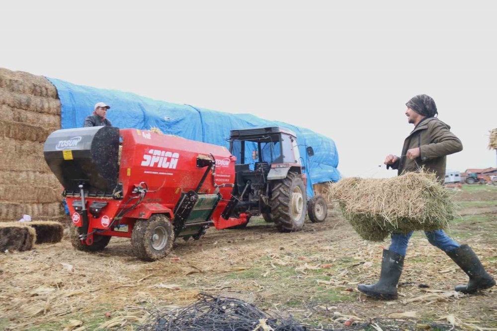 Üniversiteli çoban hayvan bakımının zorluklarını anlattı