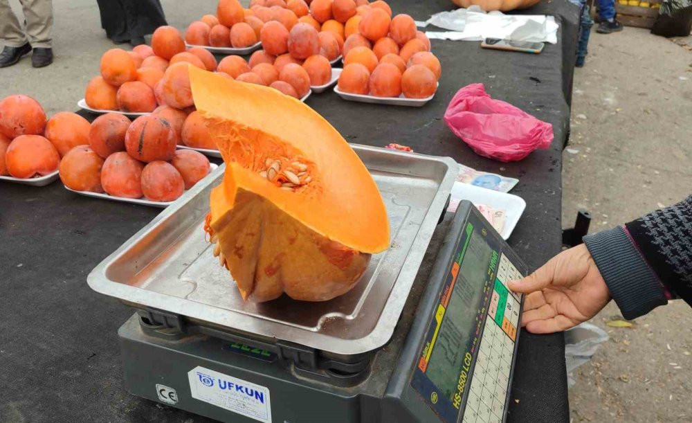 Bahçesinde ürettiği balkabağı geçim kaynağı oldu