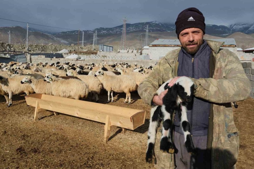 Peynir üreticilerden çağrı: Tulum Peyniri bizden 100’e çıkıyor, markette 400 oluyor