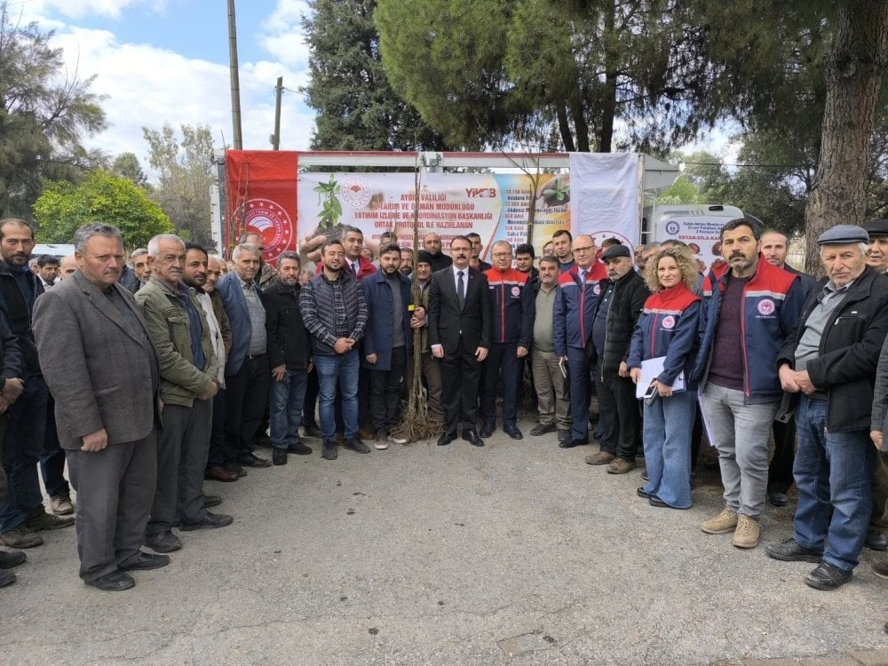 Sultanhisar’da 6 bin kestane fidanı dağıtıldı