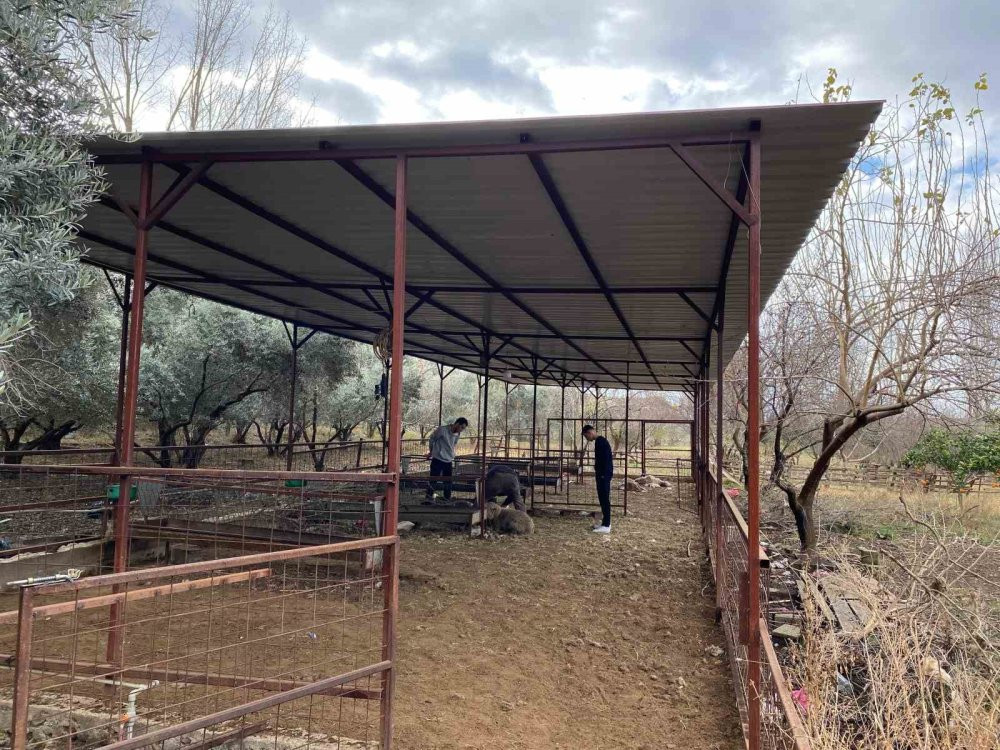 Hobi amaçlı besliyordu: Gördüğü manzara karşısında şok oldu