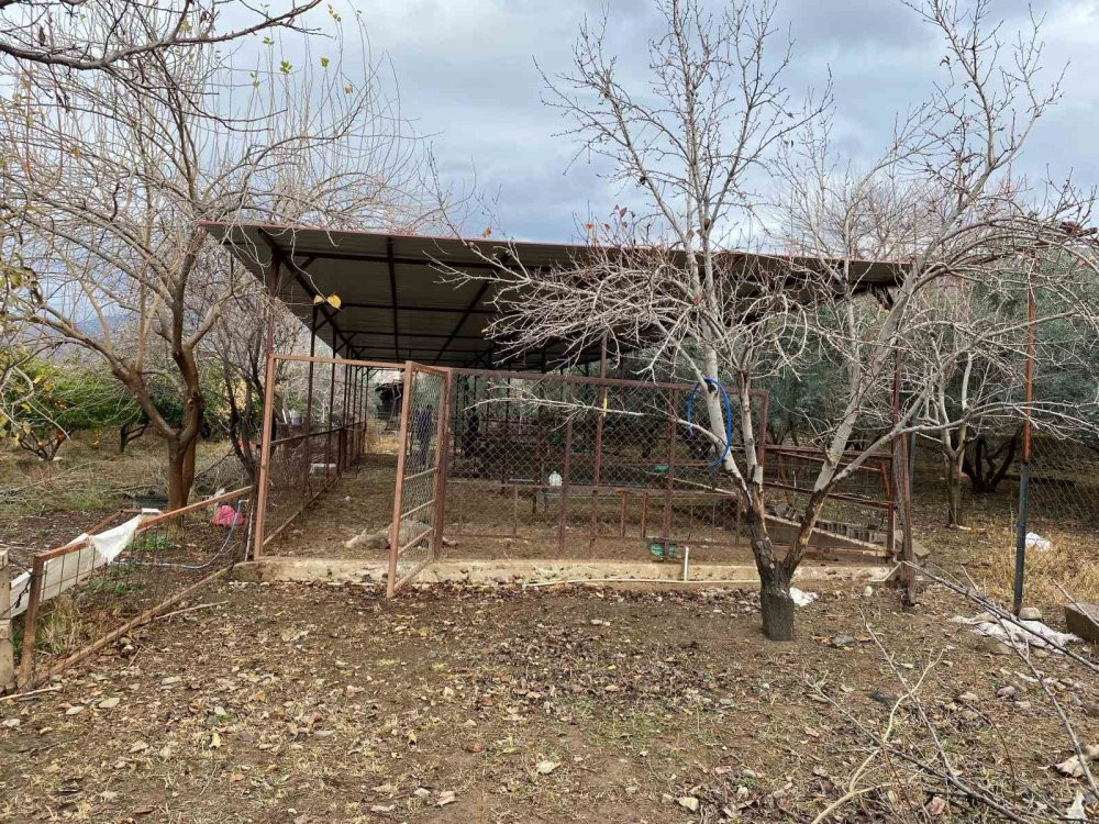 Hobi amaçlı besliyordu: Gördüğü manzara karşısında şok oldu