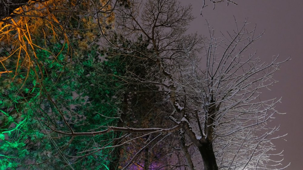 Bingöl’de taşımalı eğitime 'kar' engeli: Bugün okullar tatil