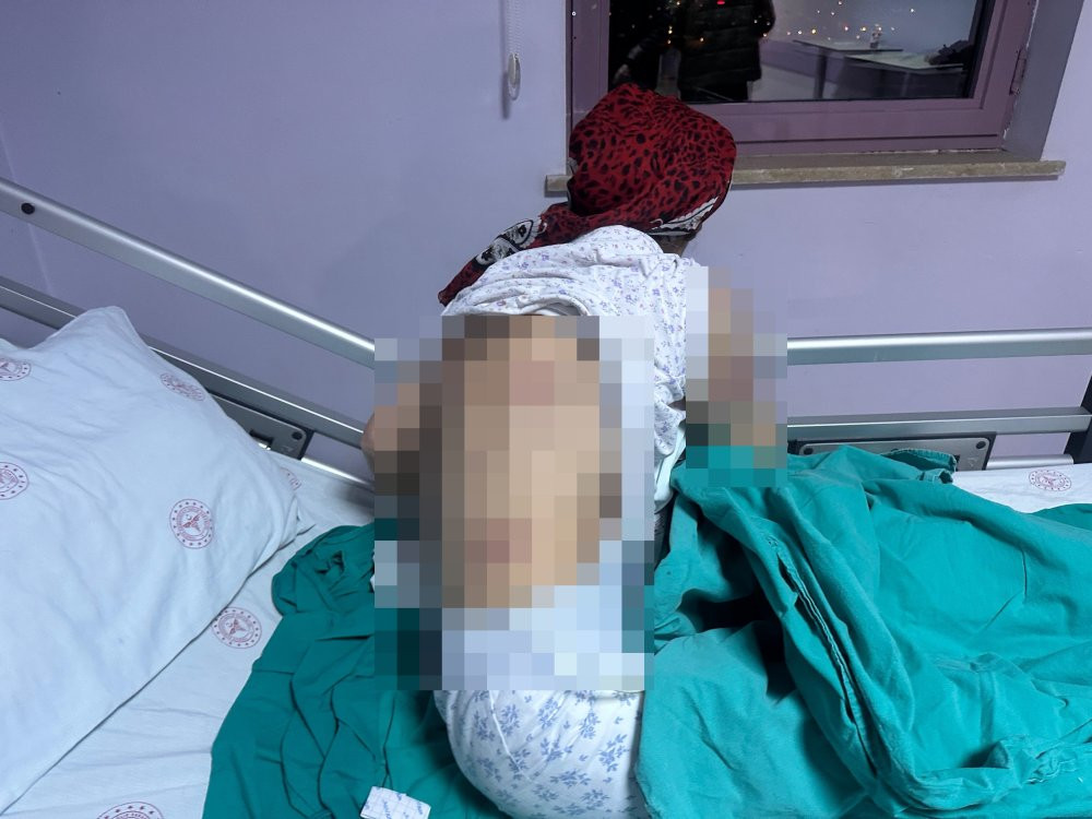 Yaşlı kadına 7 köpek dehşeti yaşattı: Vücuduna tam 50 dikiş atıldı!