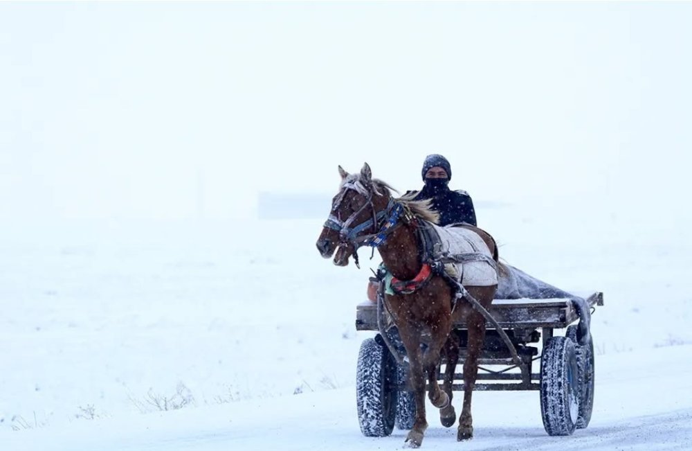 Ağrı'da nehirler buz tuttu