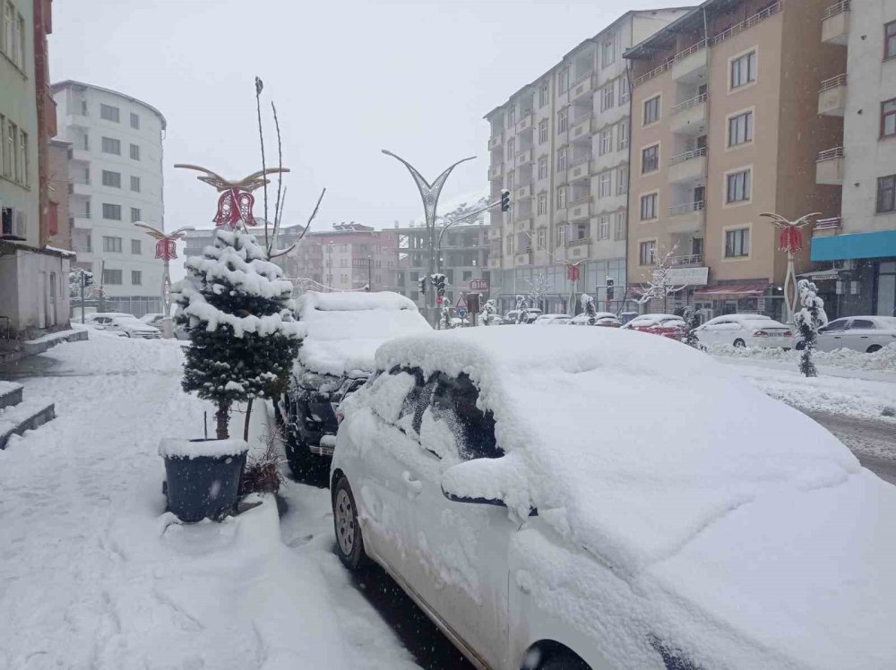 Hakkari’de beyaza büründü