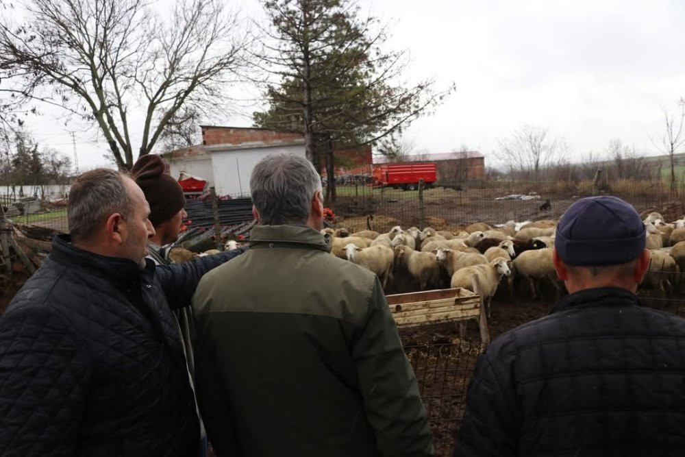 37 küçükbaşla işe başladı, işinin patronu oldu