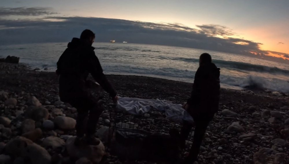 Fırtına mağduru yavru fok, balıkçının çabalarıyla annesine kavuştu