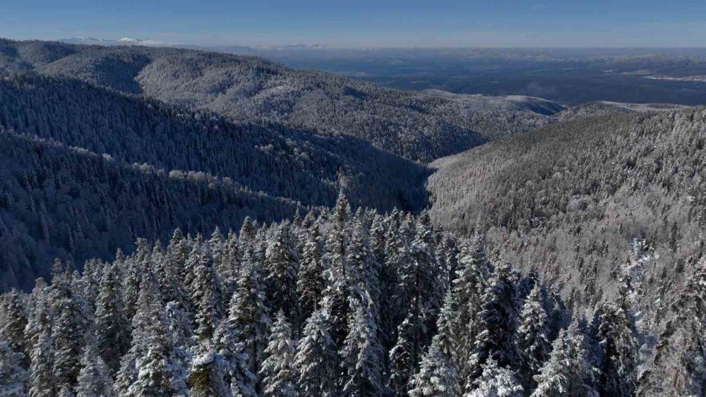 Bolu Dağı'nda kartpostallık görüntüler