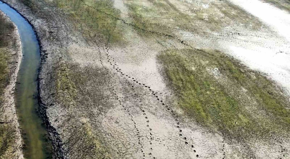 Yağışlar etkili oldu mu? İşte barajlarda son durum...