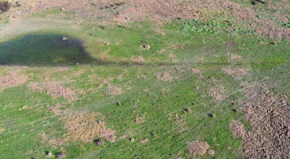 Yağışlar etkili oldu mu? İşte barajlarda son durum...