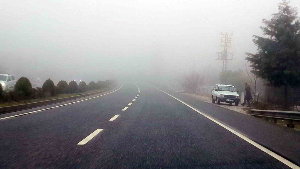 Muğla'da yoğun sis