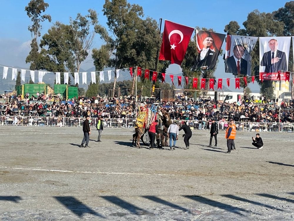 Aydın’da nefes kesen güreşlerde kupalar sahibini buldu