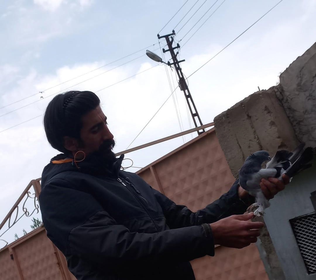soguktan-usuyen-guvercinleri-soba-ile-isitiyor-cocuklari-gibi-bakiyor-yenicag-2.jpg