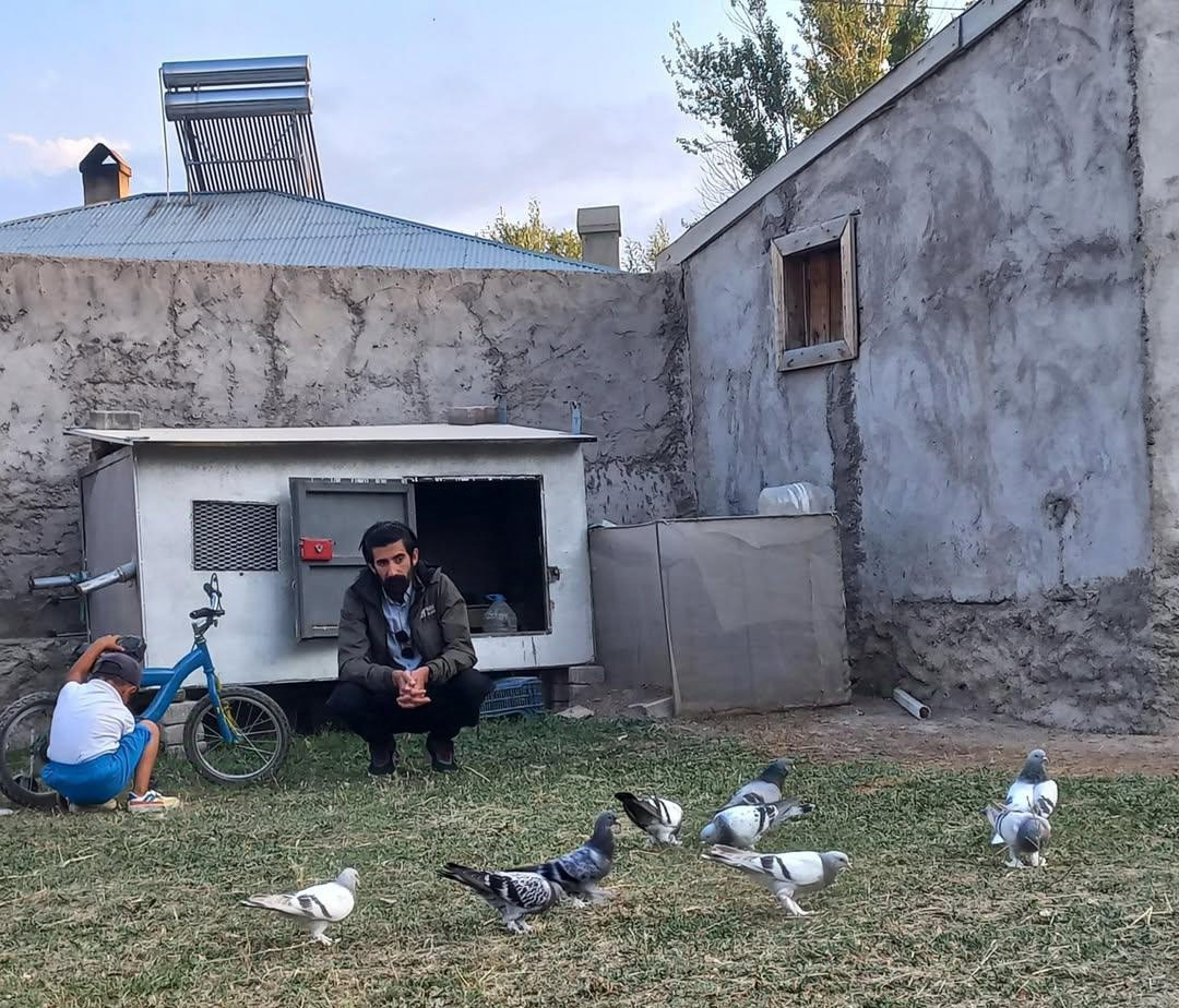 soguktan-usuyen-guvercinleri-soba-ile-isitiyor-cocuklari-gibi-bakiyor-yenicag-3.jpg