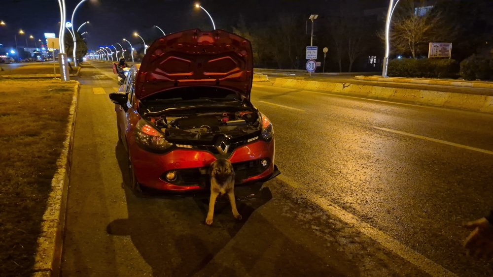 Köpek yarı beline kadar tampona gömüldü! Edirne İtfaiyesi seferber oldu