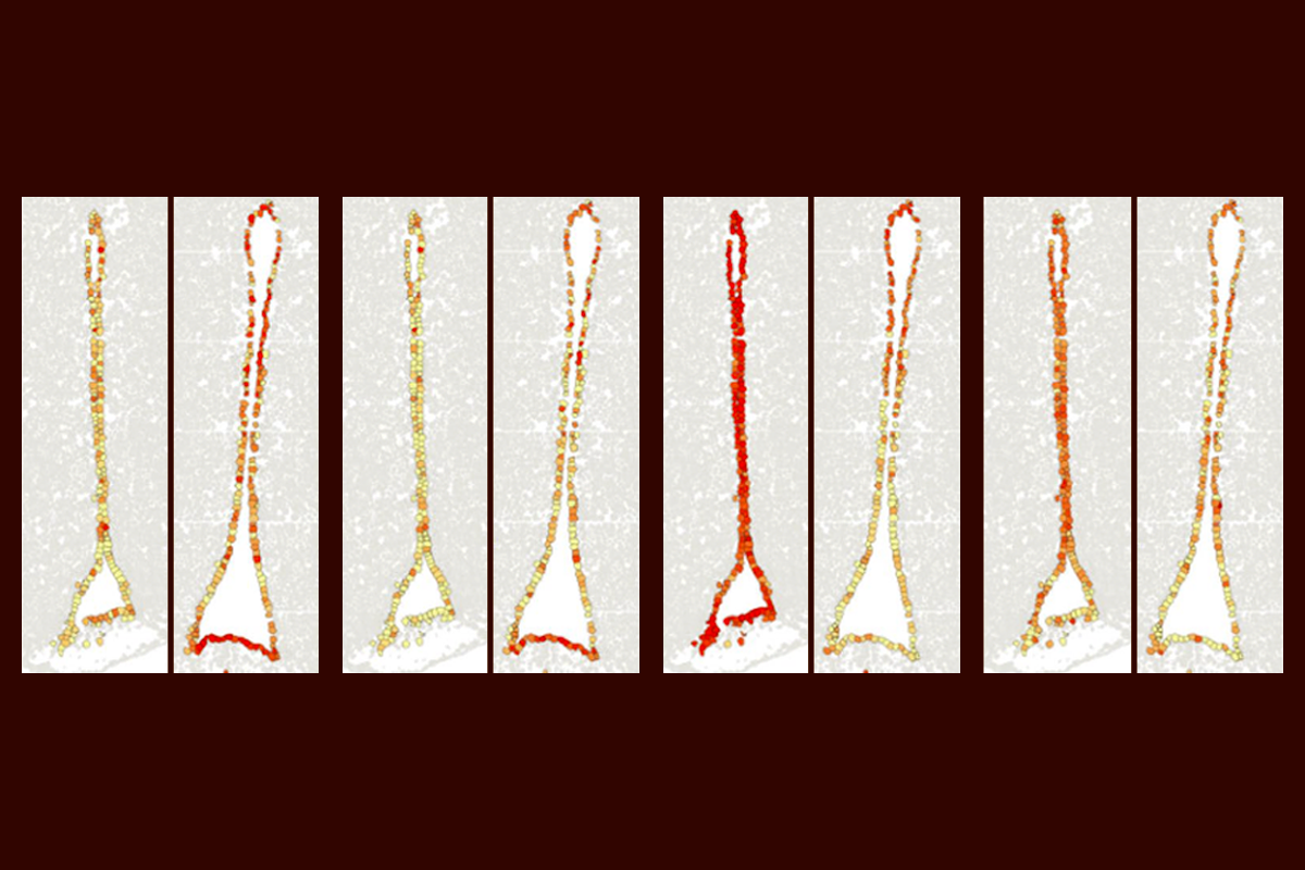 1200-cell-specific-aging-transmitter-neuroscience.png