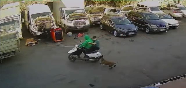 İstanbul'da korku dolu anlar! Köpekten kaçan motosikletli kamyonete çarptı