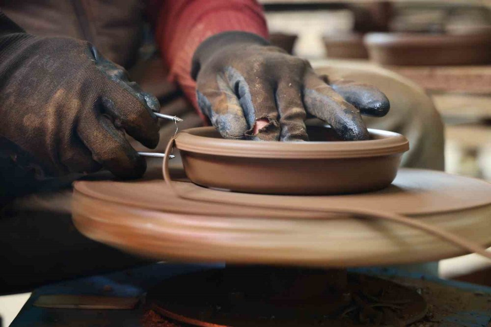 Vatandaşlar doğal beslenmeye yöneldi! 25 ülkeye ihraç ediliyor