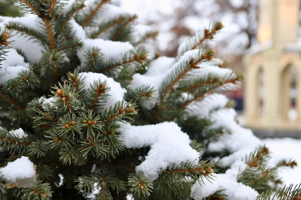 Ağrı’da kartpostallık görüntü