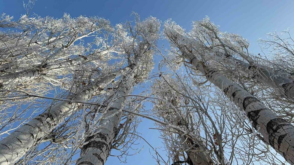 Ağrı’da kartpostallık görüntü