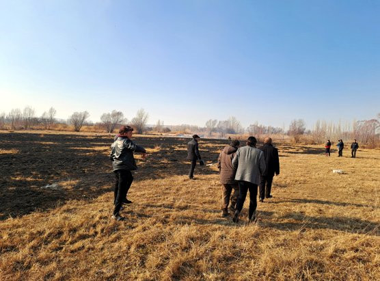 Van'da sazlıkta çıkan yangın kontrol altında