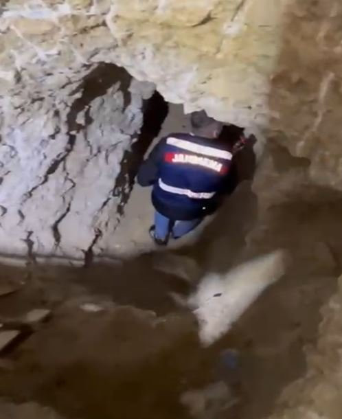 Define avcılarına jandarmadan suçüstü! 9 kişi yakalandı