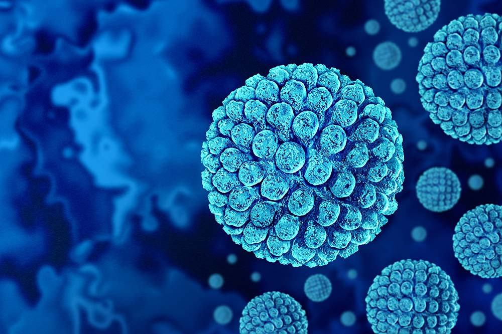 norovirus.jpg