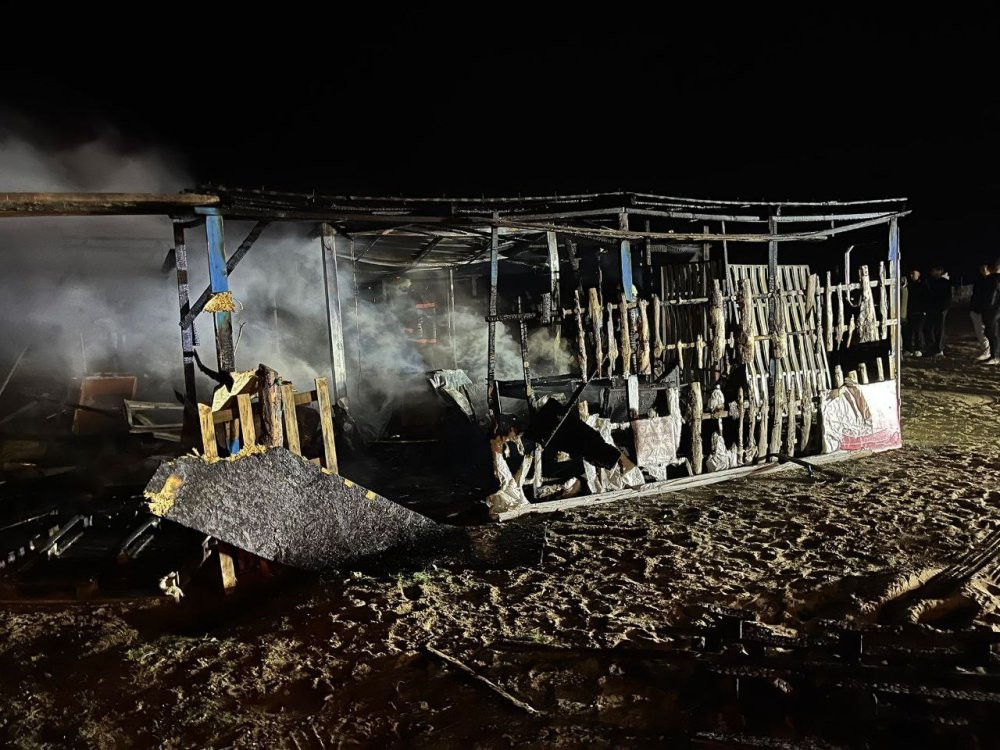 Karasu'da geceyi alevler aydınlattı: Bir işletme kül oldu