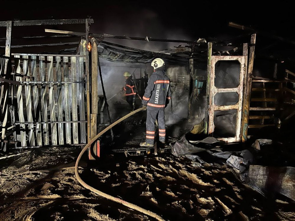 Karasu'da geceyi alevler aydınlattı: Bir işletme kül oldu