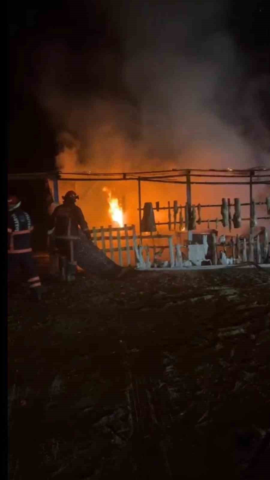 Karasu'da geceyi alevler aydınlattı: Bir işletme kül oldu