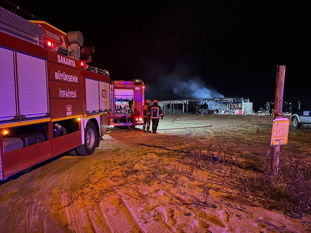Karasu'da geceyi alevler aydınlattı: Bir işletme kül oldu