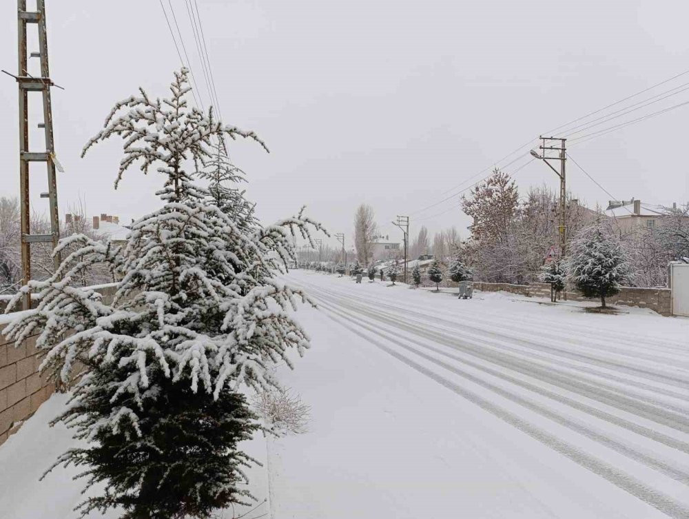 Muradiye’de kar yağışı: Sabah dondurucu soğuklar