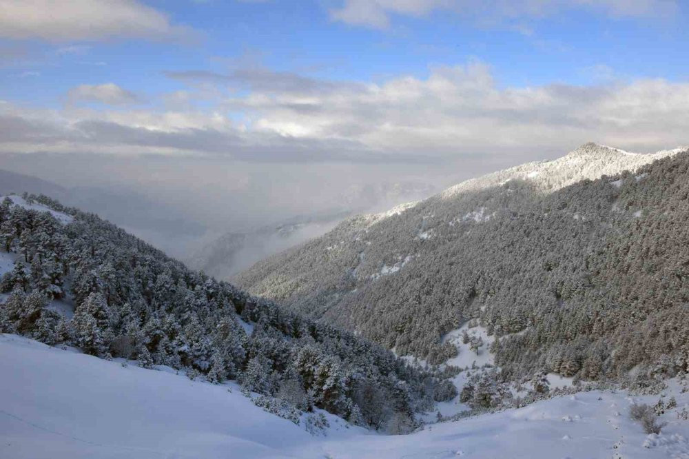 Zigana Dağı'nda kış masalı