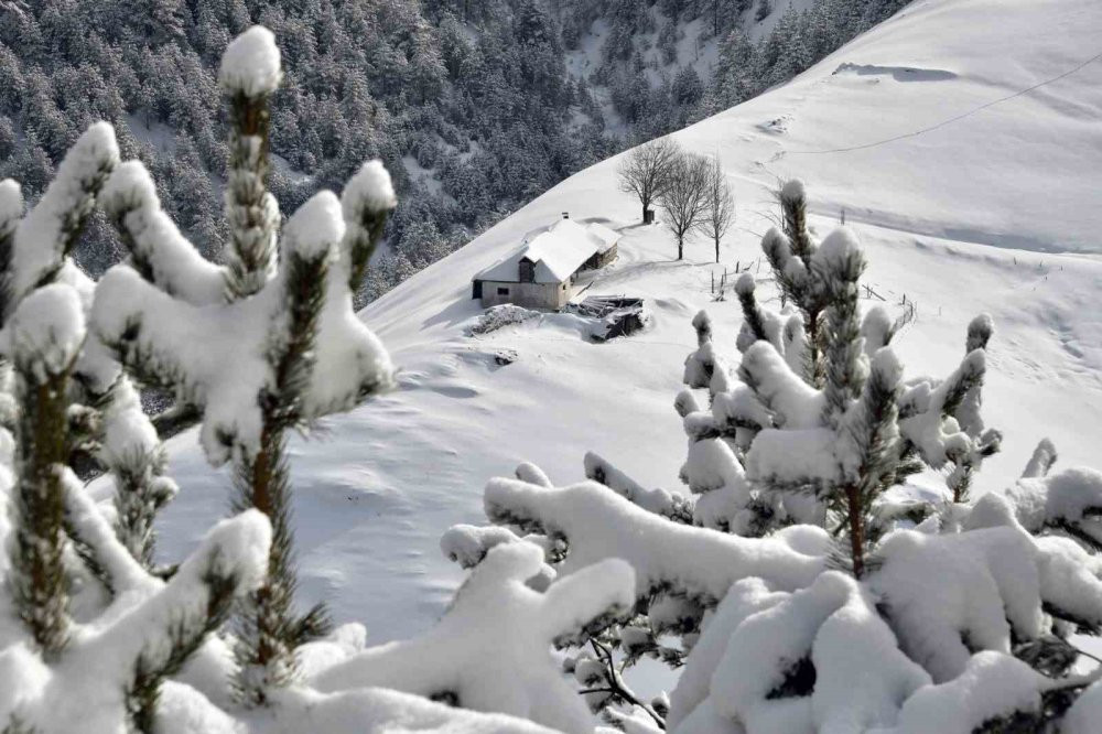 Zigana Dağı'nda kış masalı