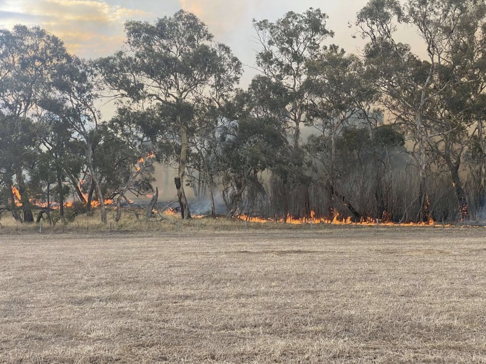 Orman yangınında 65 hektar alan zarar gördü
