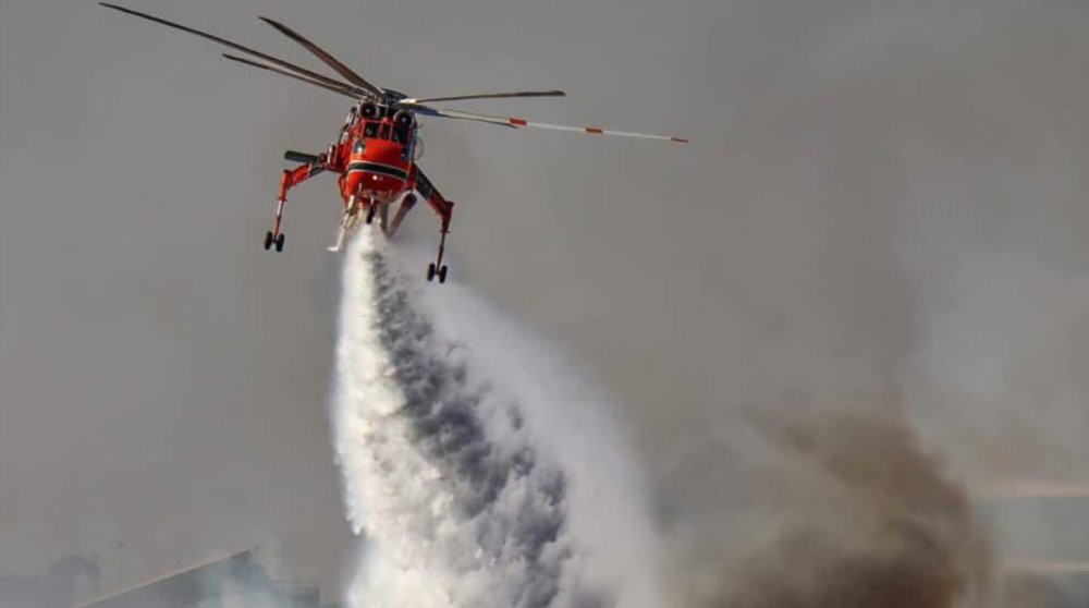 Orman yangınında 65 hektar alan zarar gördü