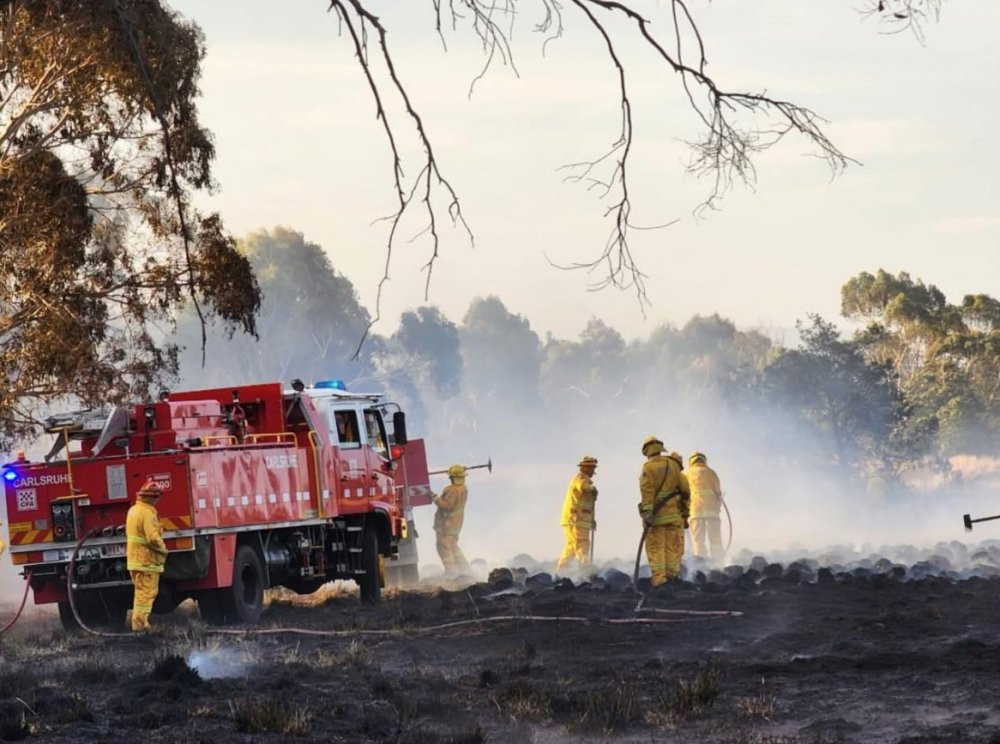 Orman yangınında 65 hektar alan zarar gördü