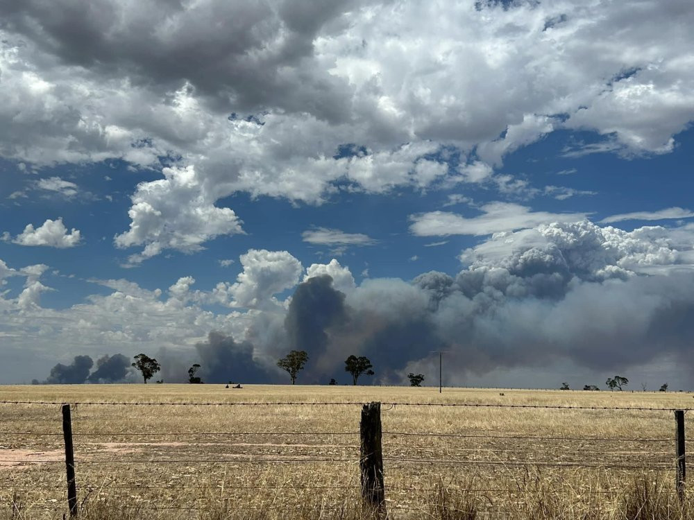 Orman yangınında 65 hektar alan zarar gördü