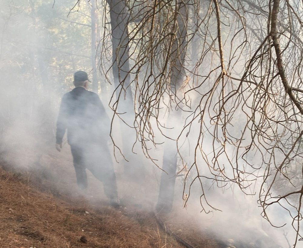 Osmaniye’de orman yangını (2 Şubat 2025)