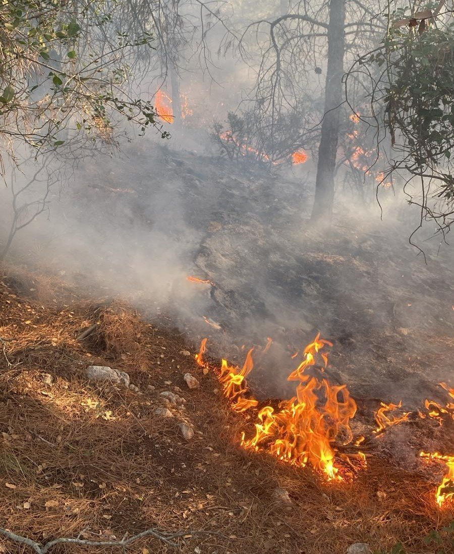 Osmaniye’de orman yangını (2 Şubat 2025)