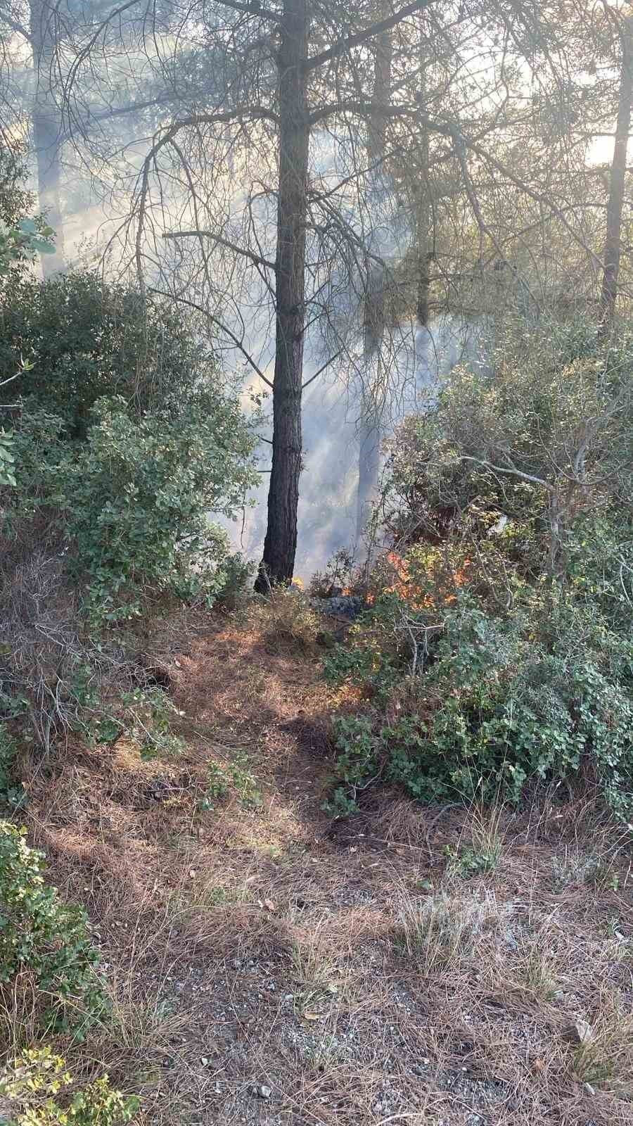 Osmaniye’de orman yangını (2 Şubat 2025)