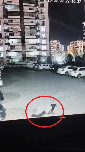 Kadının çığlık seslerine komşular yetişti! Sokak köpeği anne ile kızına saldırdı