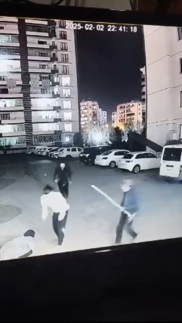 Kadının çığlık seslerine komşular yetişti! Sokak köpeği anne ile kızına saldırdı