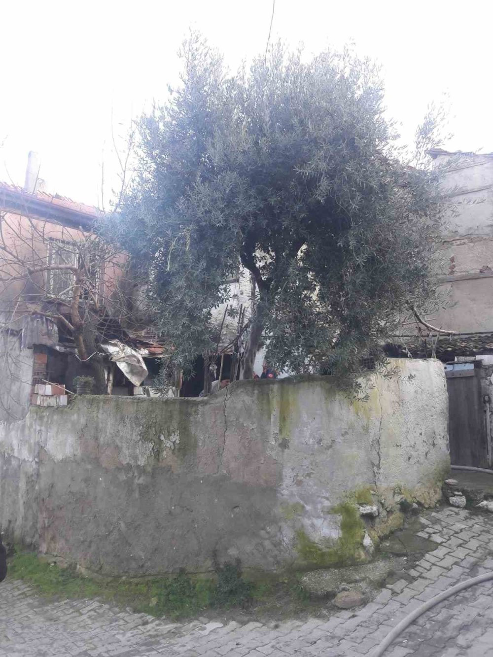 Yaşlı çiftin evi yandı